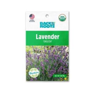 Back To The Root Lavender 'English' Seeds