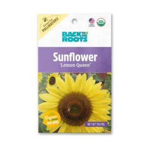 Back To The Root Sunflower 'Lemon Queen' Seeds