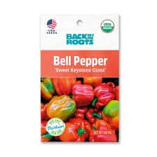Back To The Roots Bell Pepper 'Sweet Keystone Giant' Seeds