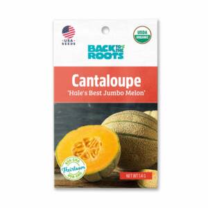 Back To The Roots Cantaloupe Seeds