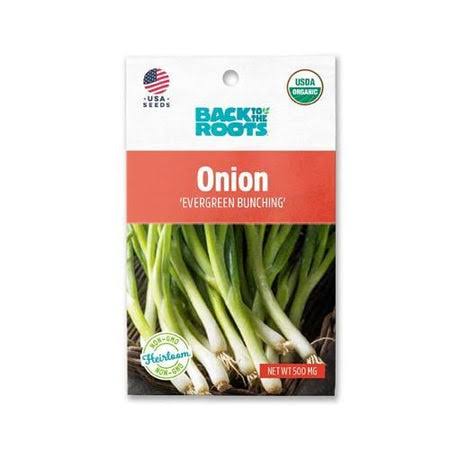 Back To The Roots Onion 'Evergreen Bunching' Seeds