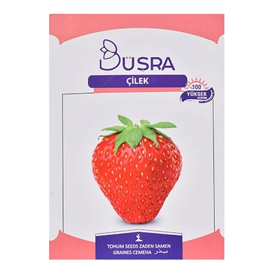 Bursa Strawberry Seed (100 Seeds)