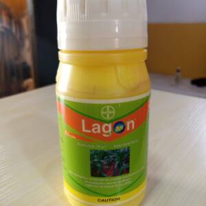 Lagon Herbicide ? Isoxaflutole + Aclonifene (50+330 g/L)