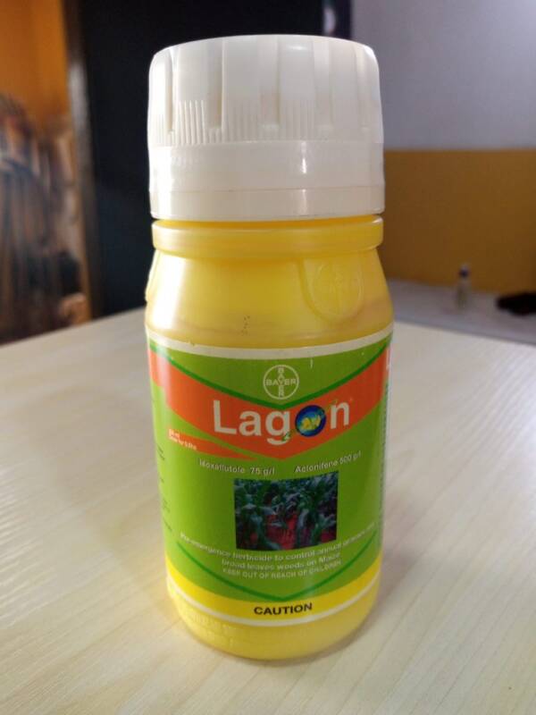 Lagon Herbicide ? Isoxaflutole + Aclonifene (50+330 g/L)