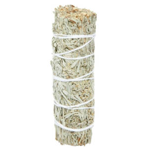 Blue Sage One Piece - Burning Abundance
