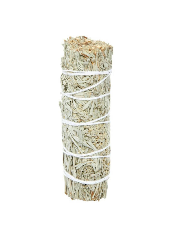 Blue Sage One Piece - Burning Abundance