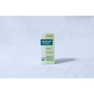 LINCOMYCIN HCL 500mg x 12 CAP (LINCOCLIM)