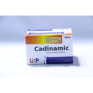 MEFENAMIC ACID 500mg x 100 TAB   (CADINAMIC)