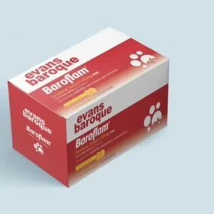Baroflam Tablet 100mg X100