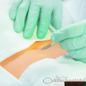 Incision and Drainage Trays