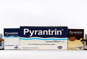Pyrantrin Suspension/Chocolate