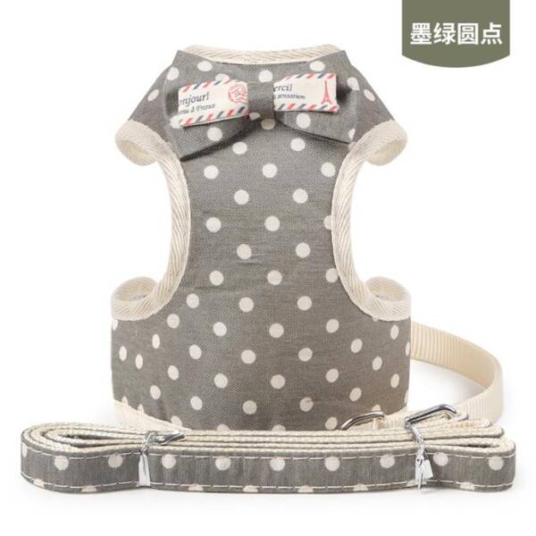 Bonjour Pet Harness with Leash (Small)