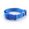 Coloured Adjustable Collar (Medium)
