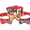 Ethnic Bow tie Collar (Medium)