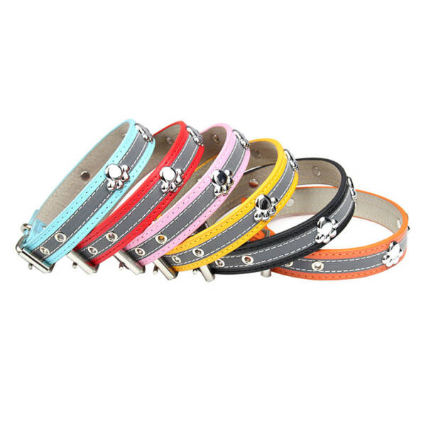 Leather Collar ( Pawprint design)