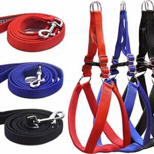 Padded Leash and Harness Set (Large)