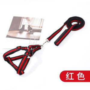 Pet Harness with Wriggle leash Large (Red and Blue)