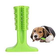Rubber Dental Dog Toy (Large)