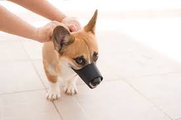 Samco Nylon Mouth Guard (Small)