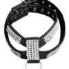 Studded Harness (Large)