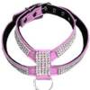 Studded Harness (Small)