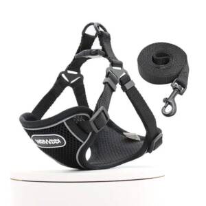Wrivvdi Harness and Leash set (Medium)