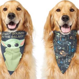 STAR WARS THE MANDALORIAN?S THE CHILD ?Cutest Bounty? Reversible Dog & Cat Bandana, X-Small/Small