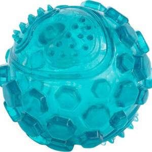 ZippyPaws ZippyTuff Squeaker Ball Dog Toy, Teal, Large