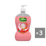 2SURE STRAWBERRY MILKSHAKE HAND WASH 500ML