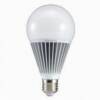 AKT LIGHTING FLIP-TOP EMERGENCY BULB 20W