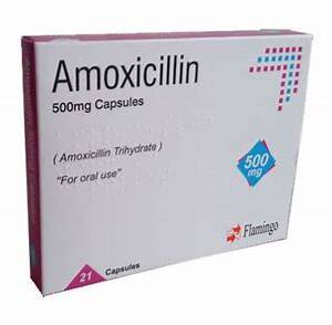 AMOXICILLIN 500MG CAPSULES FLAMINGO *21CAPSULES