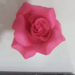 BARETTE FLOWER CLIP [5023769059749]