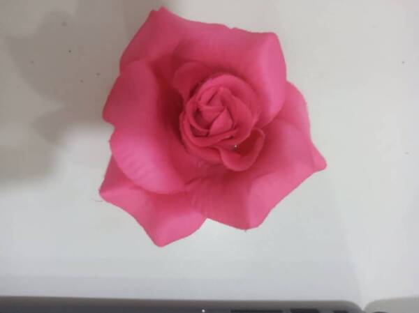 BARETTE FLOWER CLIP [5023769059749]