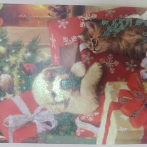 CHRISTMAS GIFT BAG
