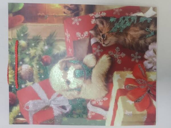 CHRISTMAS GIFT BAG