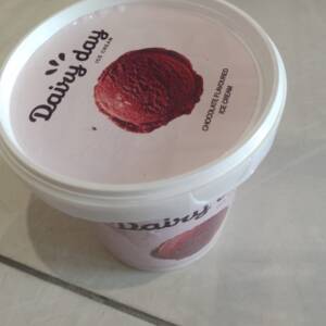 DAIRY DAY ICE CREAM CHOCOLATE FLAVOURED ICE CREAM