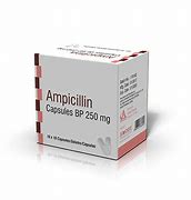 DERM AMPICILLIN 250MG CAPSULE