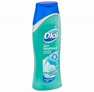 DIAL SEA MINERALS BODY WASH 621ML