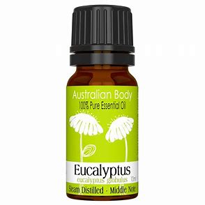 EUCALYPTUS ESSENTIAL OILS