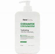 FACE FACTS CERAMIDE HYDRATING GENTLE CLEANSER