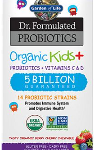 GARDEN OF LIFE DR FORMULATED PROBIOTICS ORGANIC KIDS+ 5 BILLION *30 CHEWABLES