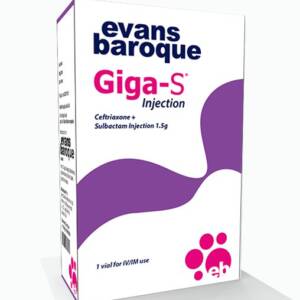 Giga-S Inj.