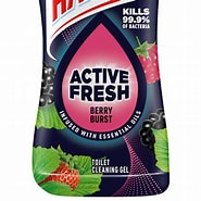 HARPIC ACTIVE FRESH BERRY BURST TOILET CLEANING GEL 750ML