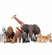 JUNGLE ANIMAL X4PIECES SET