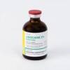 LIDOCAINE INJECTION 2% 50ML