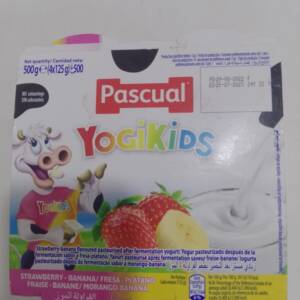 PASCUAL YOGIKIDS 500G