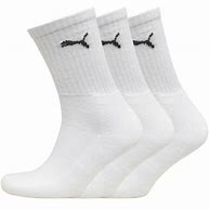 PUMA SOCKS 41-45