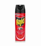 RAID INSECTICIDE SPRAY 300ML