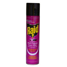 RAID MULT-PURPOSE INSECT KILLER 750ML
