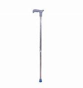 WALKING STICK SINGLE
